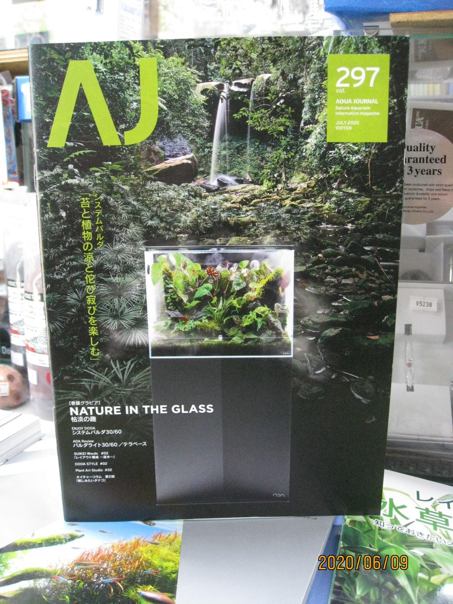 ADA DOOA パルダライト30 美品
