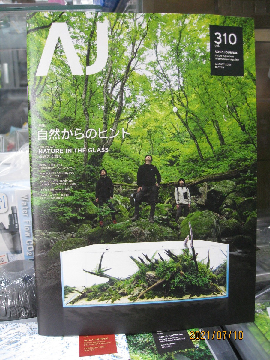 AJ Vol.344 発売のお知らせ | ADA - NEWS RELEASE