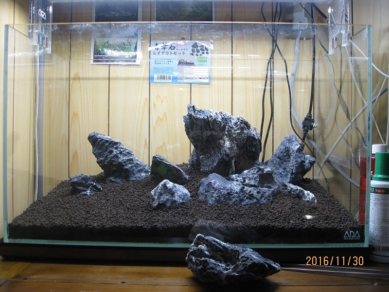 カミハタ 青華石レイアウトセット + ADA 龍王石 3個 - 魚用品/水草